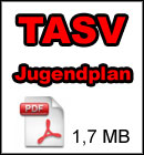 Jugendplan des TASV Hessigheim 1901 e.V.