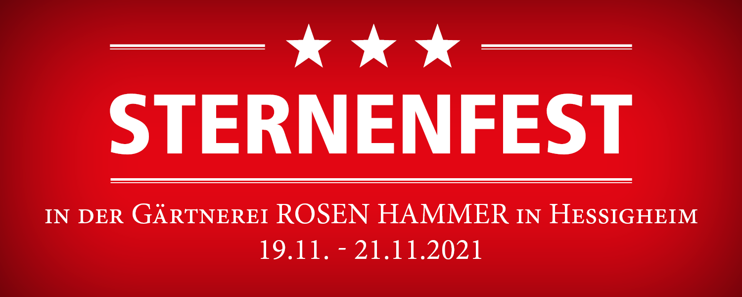 ABGESAGT – Sternenfest 19. – 21.11.2021